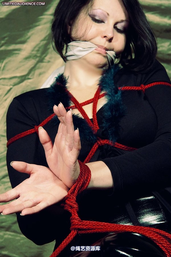 limitedaudience - 2010 deception helpless prisoner 2 第 21 张图片