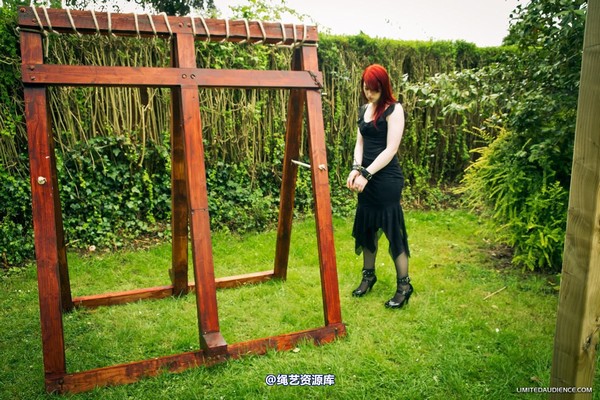 limitedaudience - 2012 syrah lee by the cross 第 24 张图片