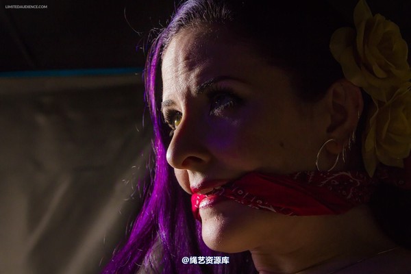limitedaudience - 2014 caroline pierce captured damsel 2 第 26 张图片