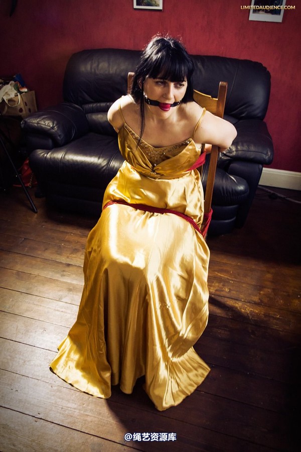 limitedaudience - 2013 dynamo golden satin 2 第 21 张图片