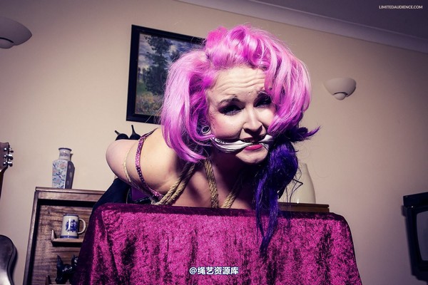 limitedaudience - 2013 assisted suicide hogtie centre piece 第 25 张图片
