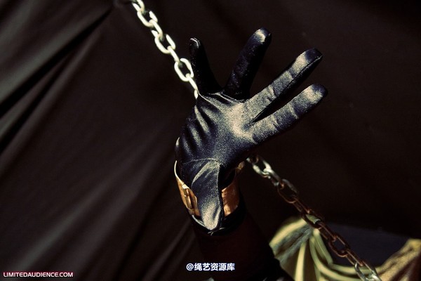 limitedaudience - 2010 raevan captured huntress 2 第 20 张图片