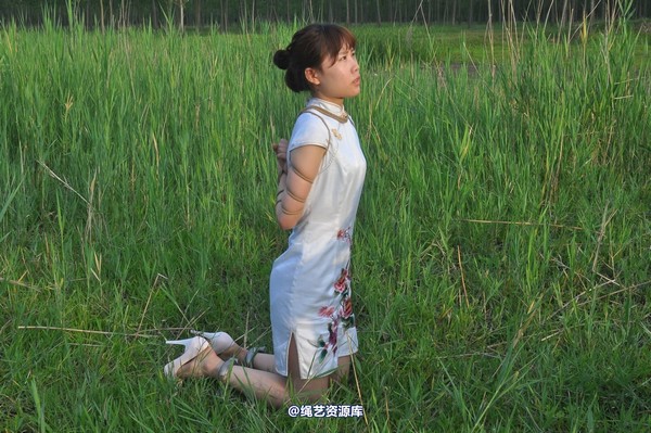 mj影视 - 凤凰烈焰 第 359 张图片