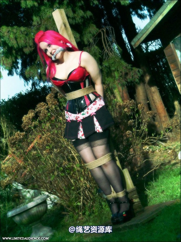 limitedaudience - 2007 assisted suicide the fastening 第 23 张图片