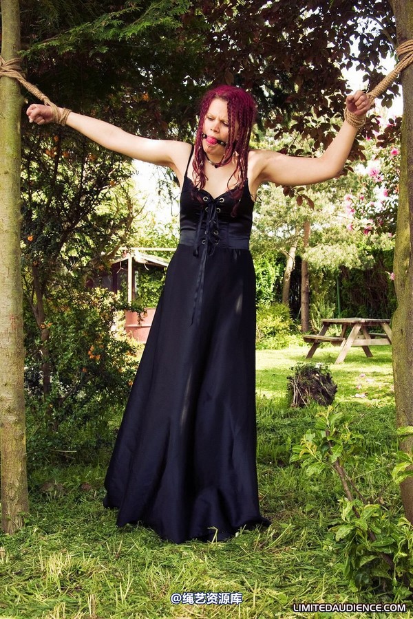 limitedaudience - 2010 beckykat between trees 第 19 张图片