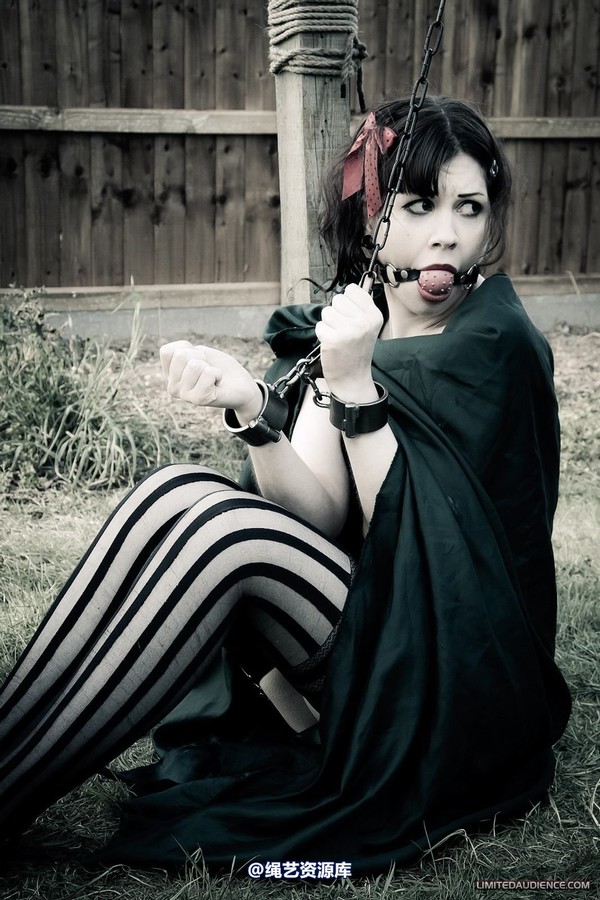 limitedaudience - 2012 dominick destruction another escape attempt 第 7 张图片