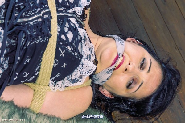limitedaudience - 2013 dynamo hogtied 第 24 张图片