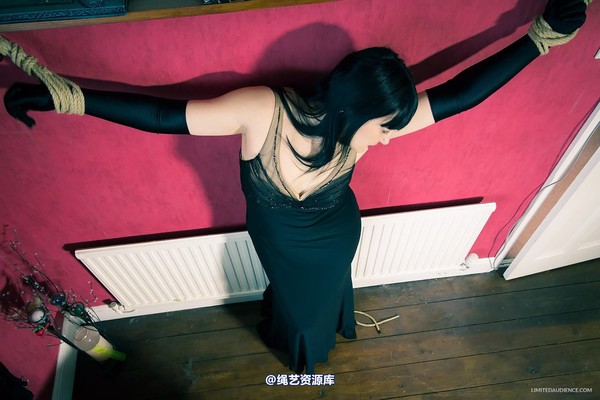 limitedaudience - 2013 dynamo incredulous captive 第 3 张图片