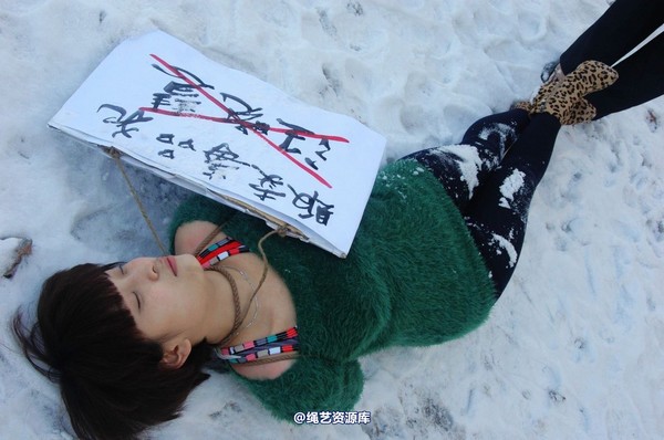 mj影视 - 汪晓慧7―执行枪决 第 75 张图片