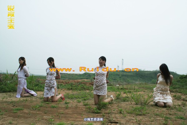 锐度主张 - 4月8日网友聚会室外篇3 第 82 张图片