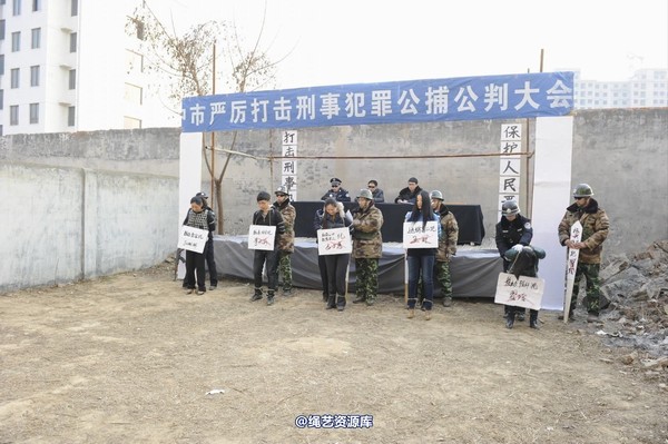 mj影视 - 2014-01-23 新春严打套图1 第 622 张图片