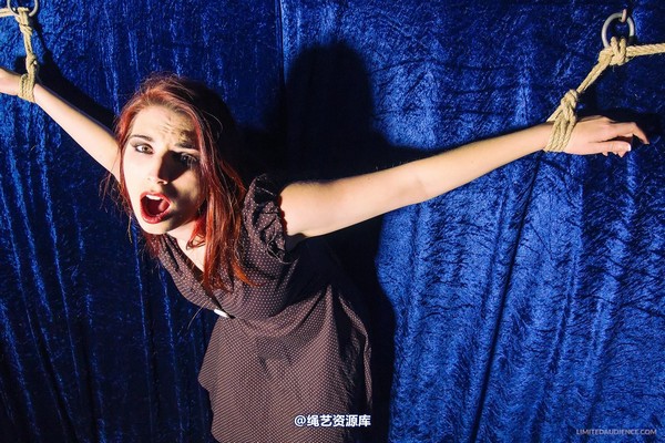 limitedaudience - 2013 ivory not what she meant 第 11 张图片