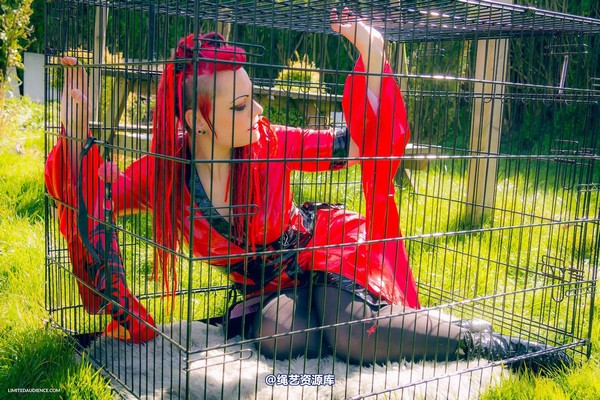 limitedaudience - 2015 raevan into the cage 第 20 张图片
