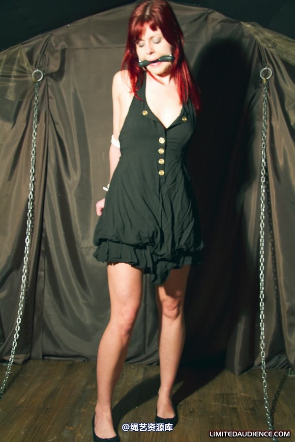limitedaudience - 2011 scarlett bound and imprisoned 第 26 张图片