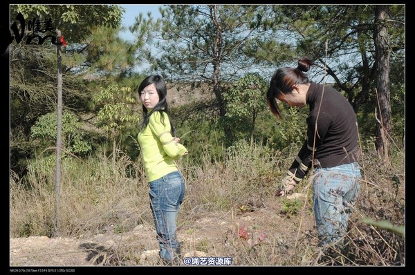 唯美之家 - 2008-11-27萧雅 第 302 张图片