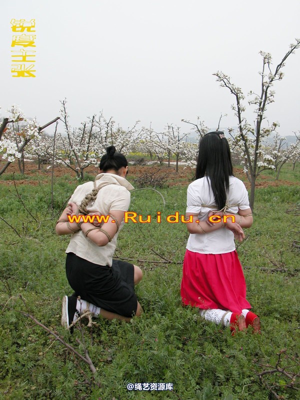 锐度主张 - 婷婷和寒冰梨花林中 第 36 张图片