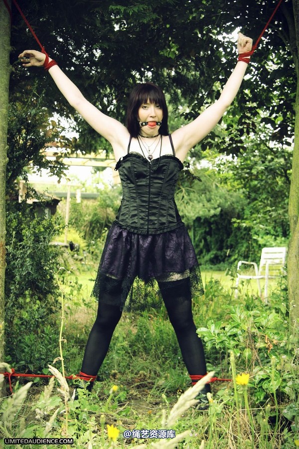 limitedaudience - 2011 syrah lee helpless outdoors 第 1 张图片