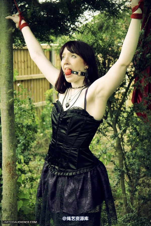limitedaudience - 2011 syrah lee helpless outdoors 第 29 张图片