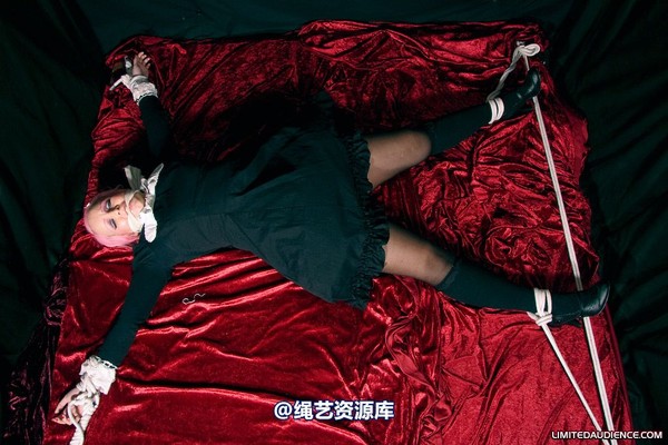 limitedaudience - 2009 assisted suicide internet date 第 54 张图片