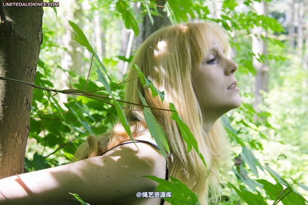 limitedaudience - 2011 ariel chained in the forest 第 10 张图片