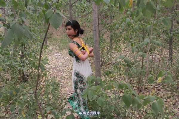 胜景山庄 - 275-山林绑着堵嘴狂跑 第 28 张图片