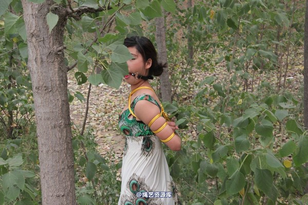 胜景山庄 - 275-山林绑着堵嘴狂跑 第 26 张图片