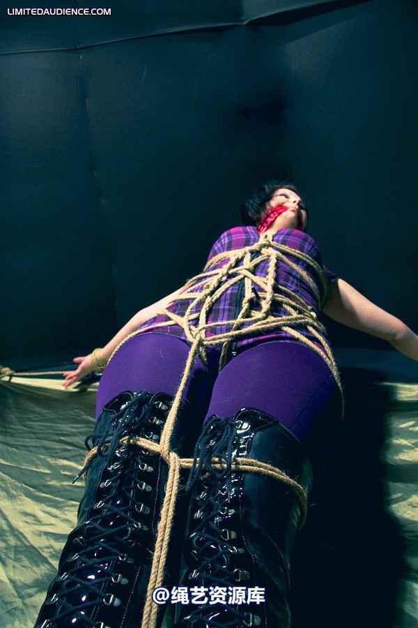 limitedaudience - 2009 deception bound tightly 第 26 张图片