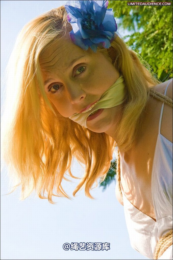 limitedaudience - 2008 ariel tied in the sun 第 3 张图片