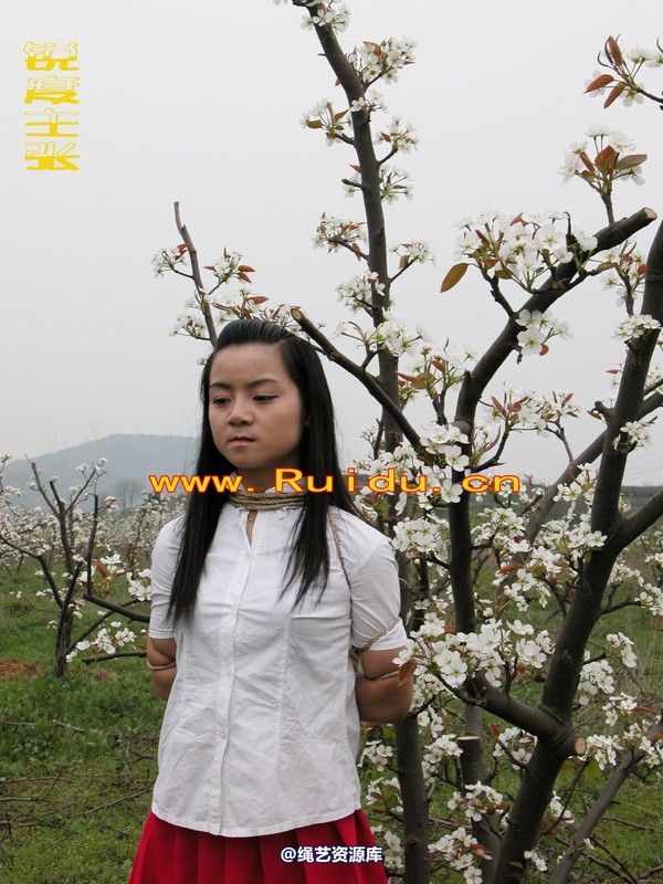 锐度主张 - 婷婷和寒冰梨花林中 第 14 张图片