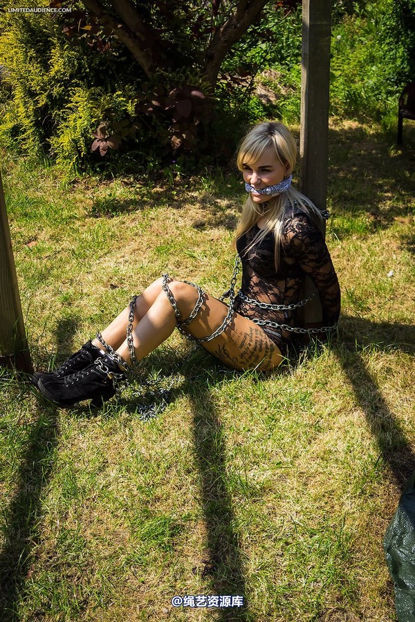limitedaudience - 2014 altsiren in chains 第 20 张图片