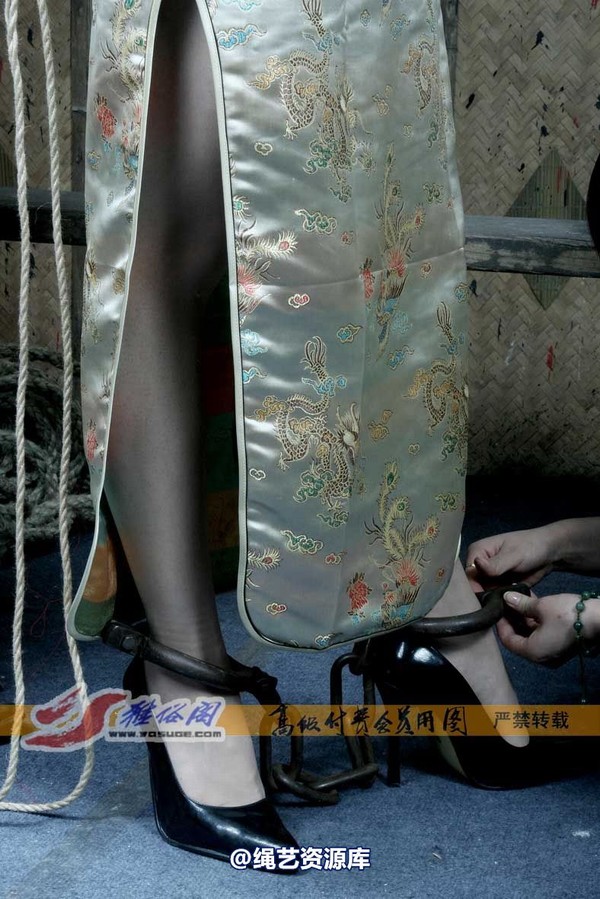 雅俗阁 - 20070821雅芝旗袍老虎凳 第 9 张图片
