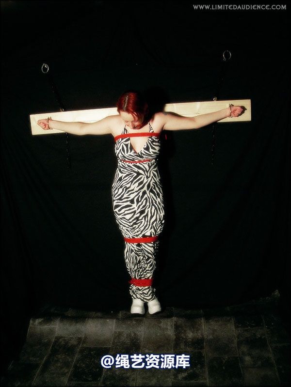 limitedaudience - 2007 erin chained animal 第 33 张图片