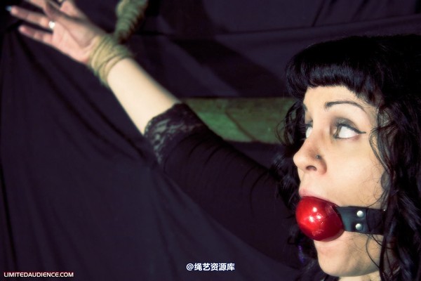 limitedaudience - 2009 veriddian hoissy 2 第 7 张图片