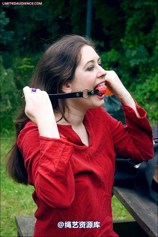 limitedaudience - 2008 catya picnic interrupted self bondage 第 19 张图片
