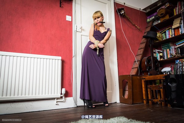 limitedaudience - 2014 altsiren harsh house arrest 第 19 张图片