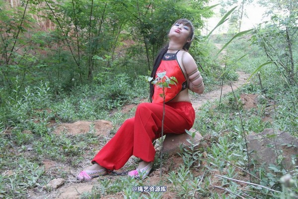 胜景山庄 - 162-野外红肚兜 第 35 张图片