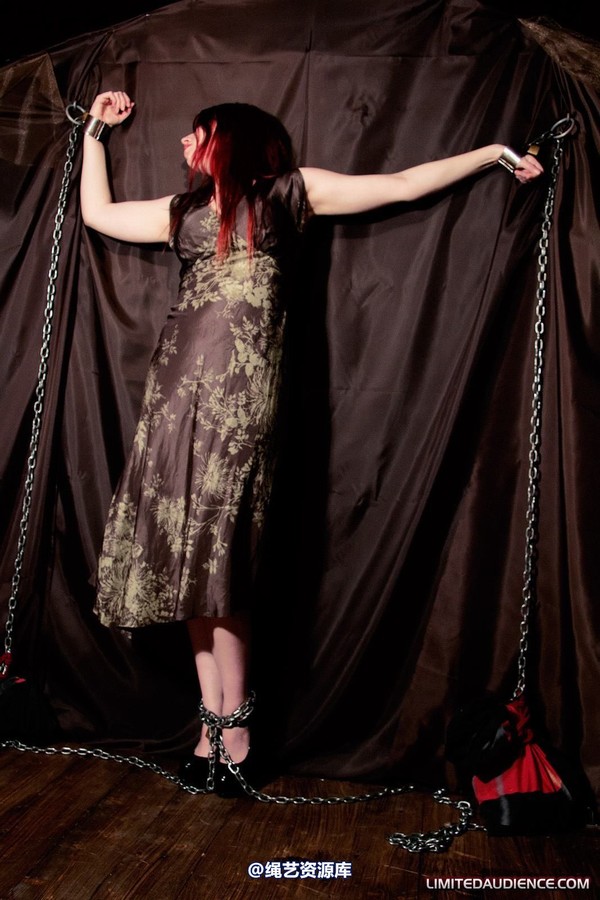 limitedaudience - 2011 ivory penance at home 2 第 4 张图片