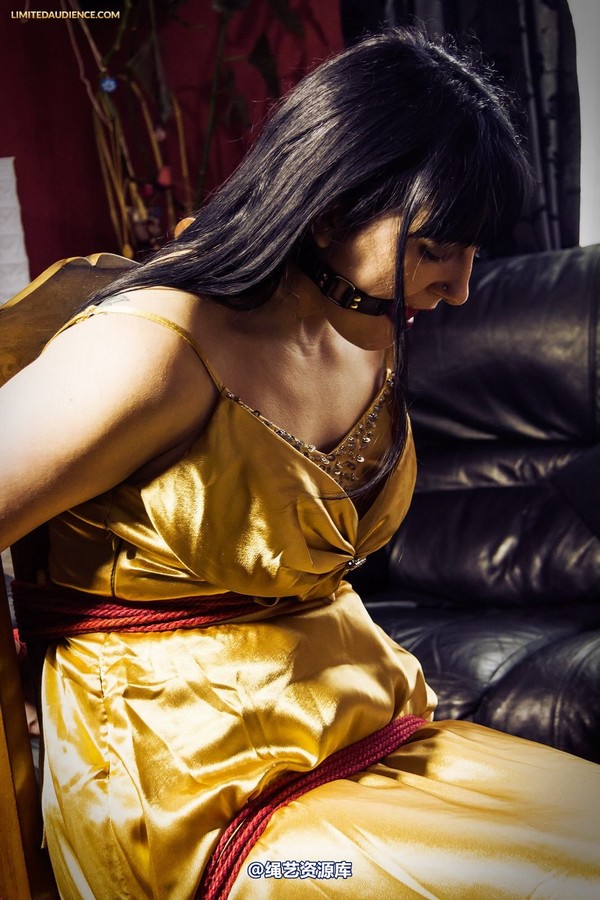 limitedaudience - 2013 dynamo golden satin 2 第 27 张图片