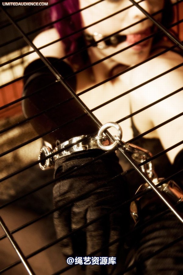 limitedaudience - 2009 catya raevan alptraum part iii 第 3 张图片