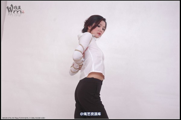 唯美之家 - 2008-11-3青竹无花 第 78 张图片