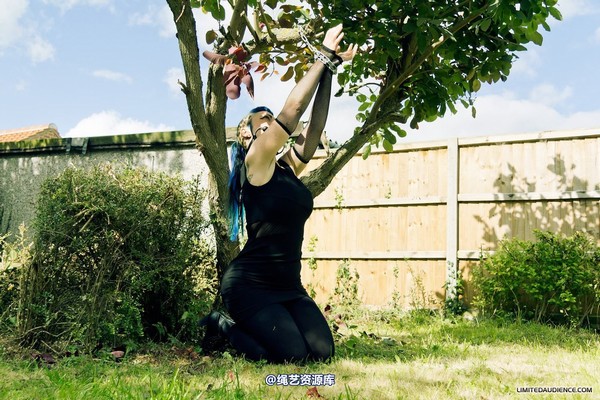 limitedaudience - 2012 raevan tied and tamed 第 11 张图片