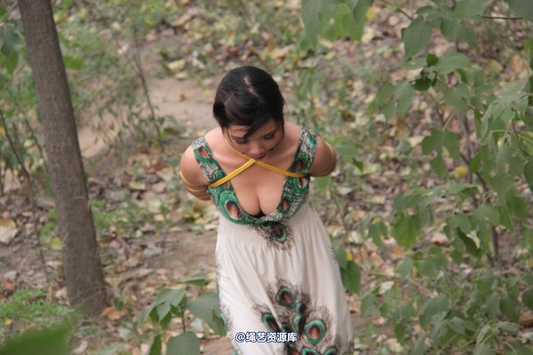 胜景山庄 - 275-山林绑着堵嘴狂跑 第 1 张图片