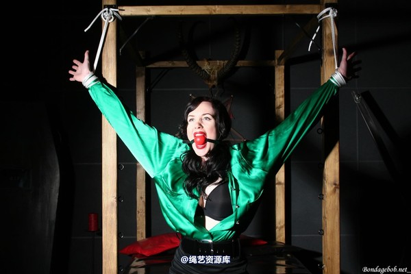 bondagebob - Morrigan In the spotlight 第 109 张图片