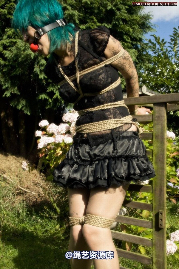 limitedaudience - 2009 b captive pixie 第 9 张图片