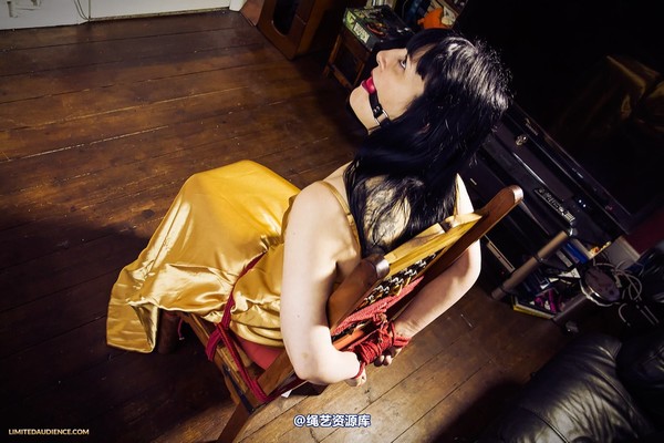 limitedaudience - 2013 dynamo golden satin 第 39 张图片