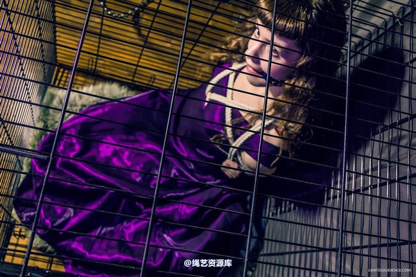 limitedaudience - 2014 fay inside the cage 2 第 20 张图片