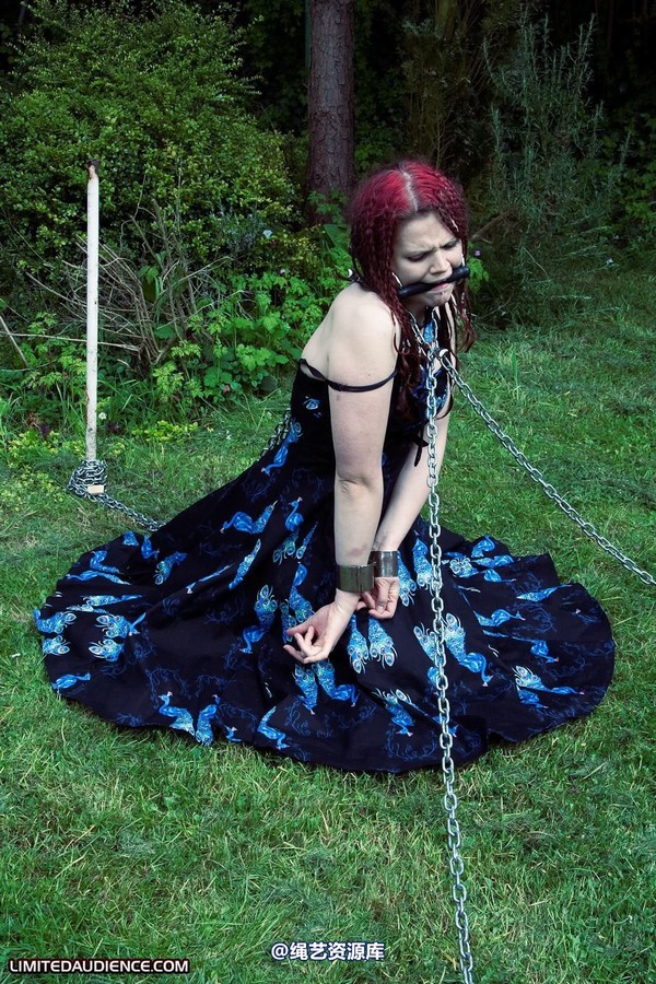 limitedaudience - 2010 beckykat chained and staked 第 15 张图片