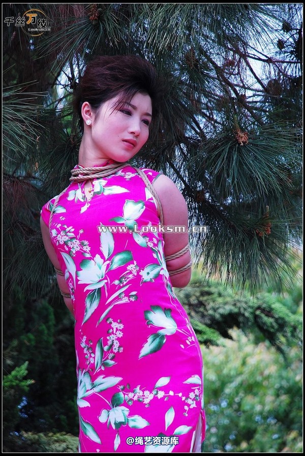 千丝万缕 - 2008-04-23-1日照片 第 76 张图片