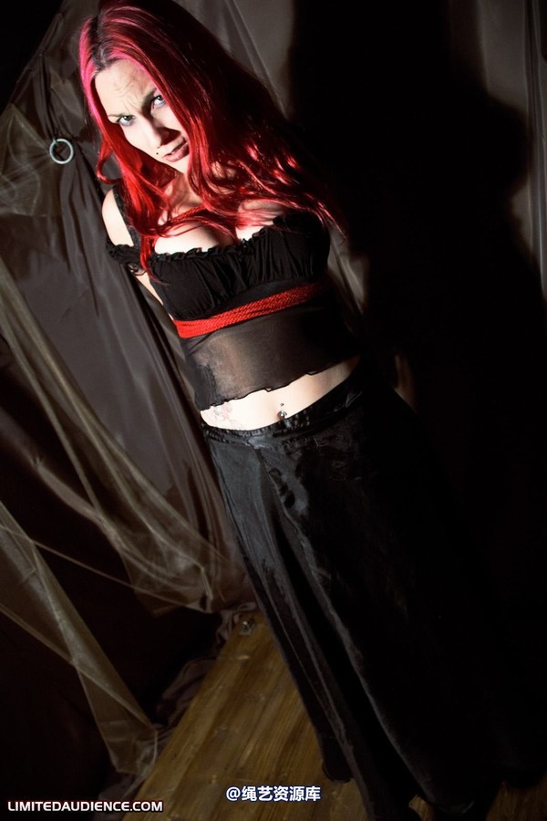 limitedaudience - 2010 elyssia bound to a pole 第 20 张图片