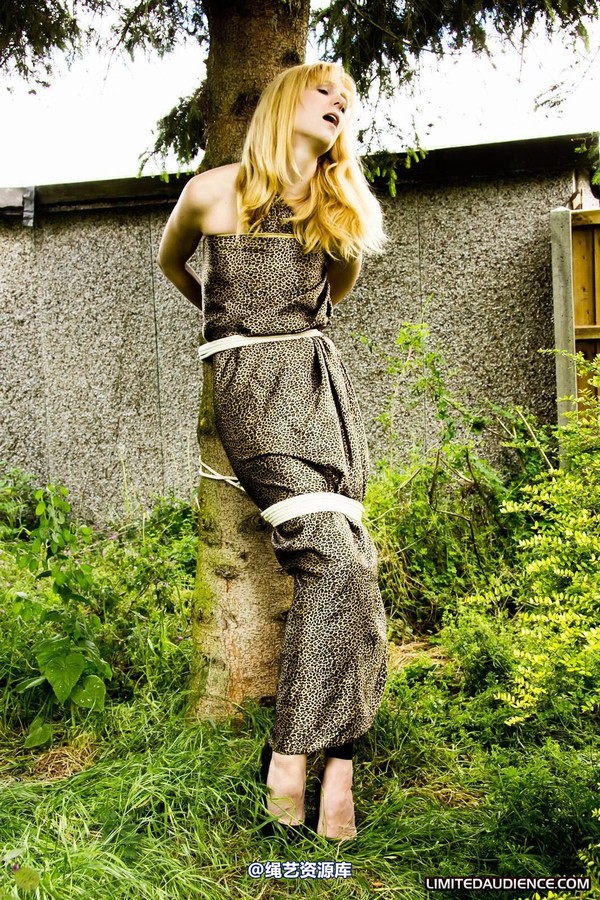 limitedaudience - 2011 ariel tied to a tree 2 第 34 张图片